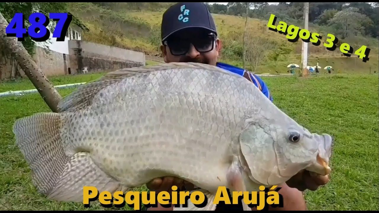 Pesqueiro Arujá