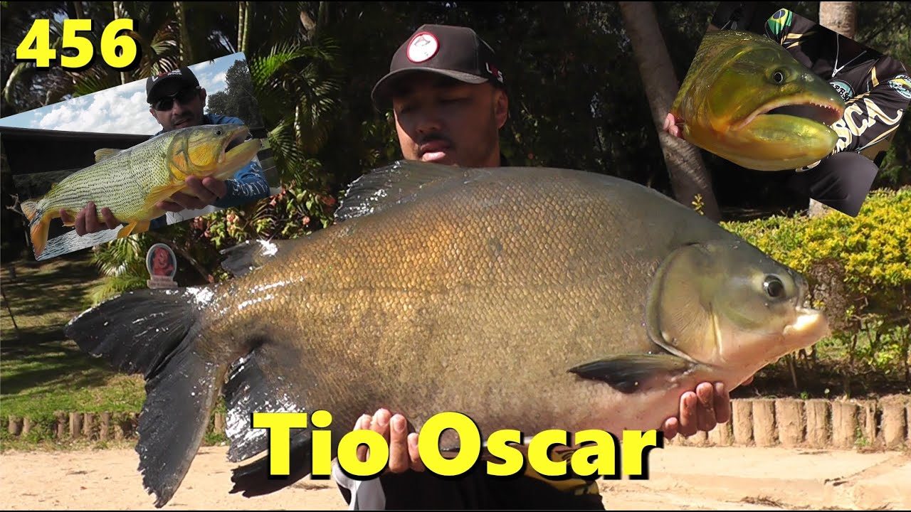 Pesqueiro e Pousada Tio Oscar