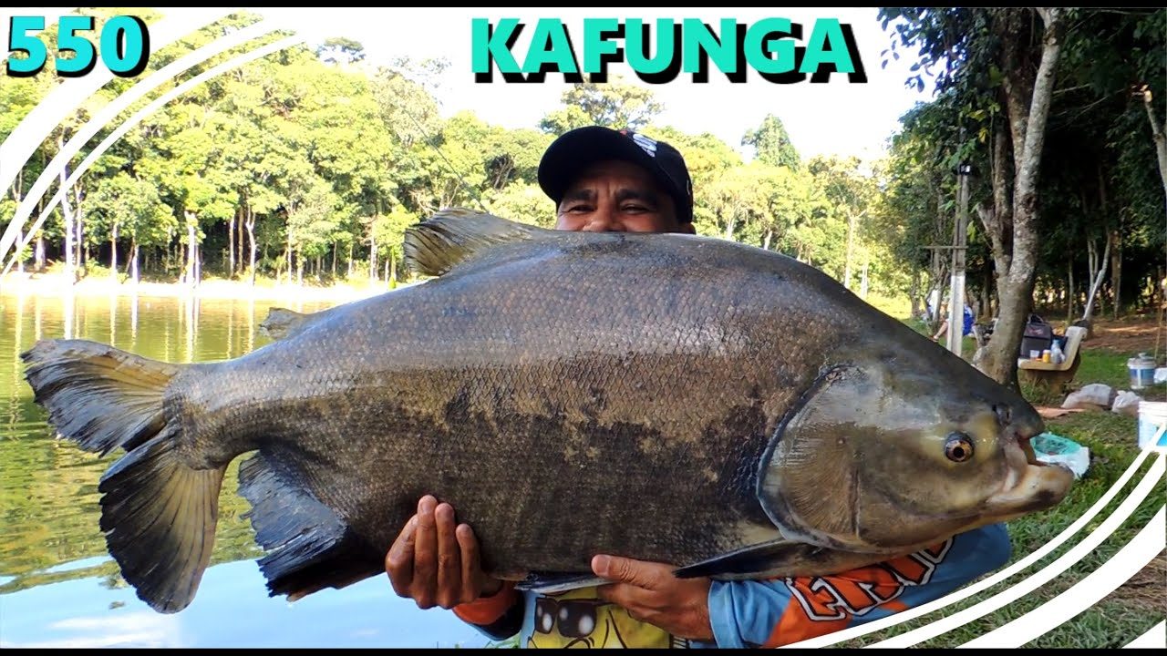 Pesqueiro Kafunga
