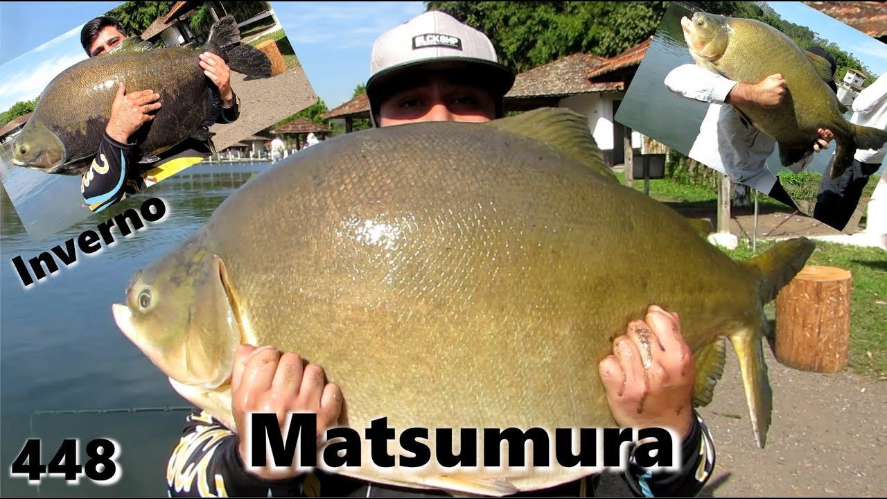 Pesqueiro Matsumura