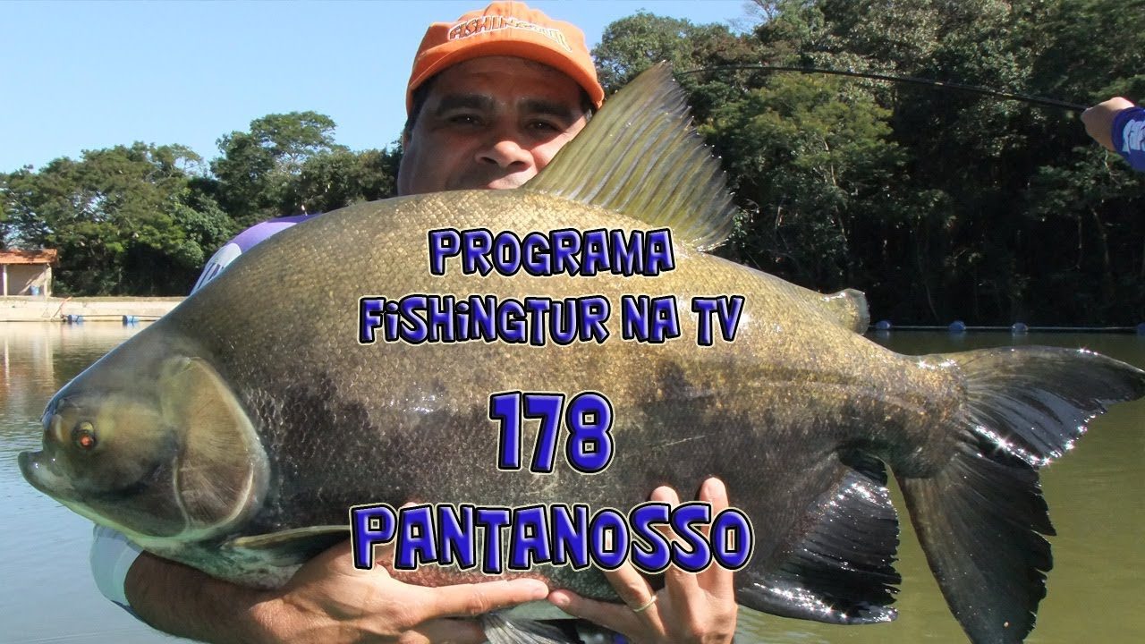 Pesqueiro Pantanosso