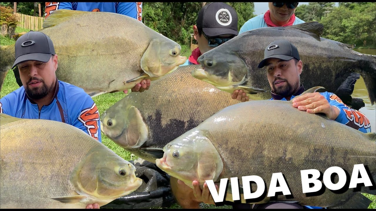 Pesqueiro Vida Boa