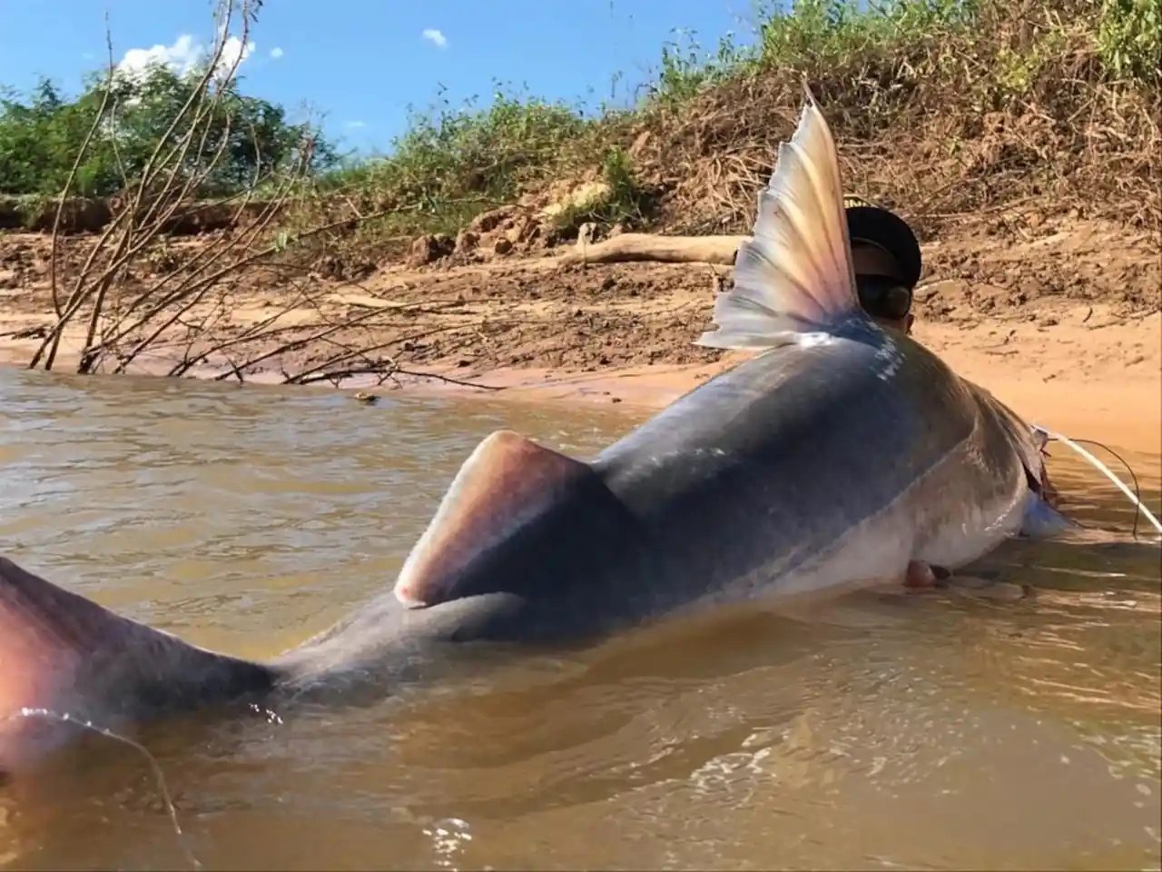 Pousada Asa Branca