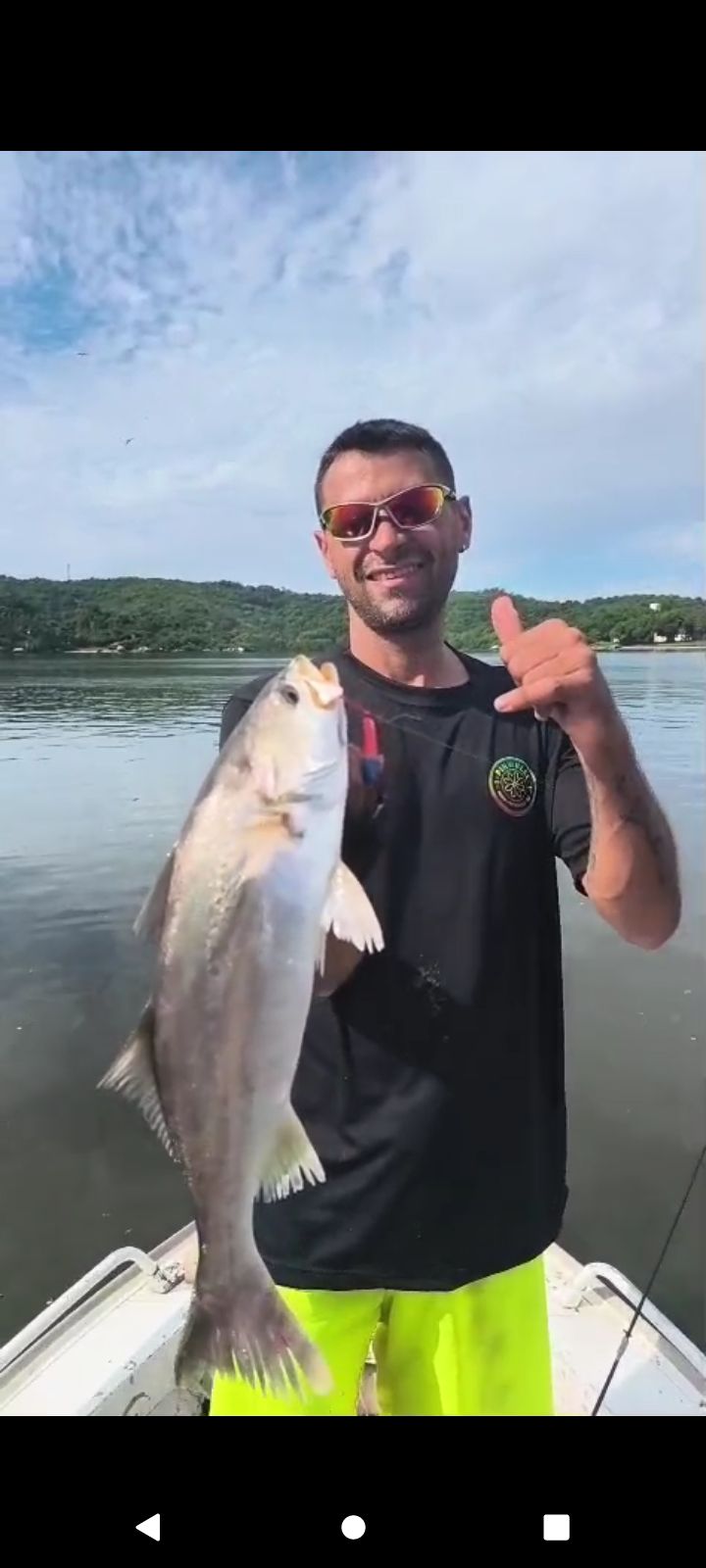 Smooth Weakfish
