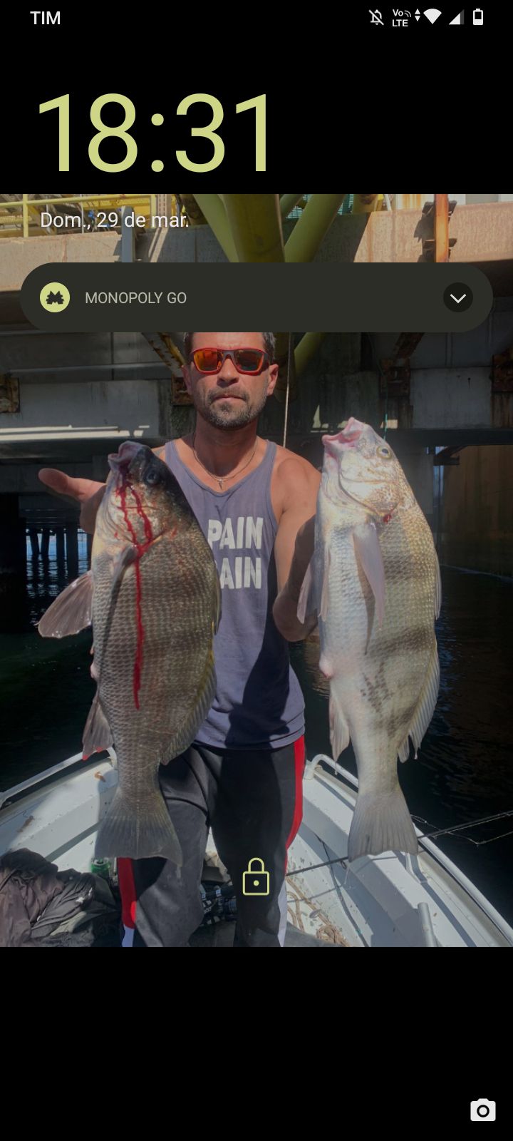 Black Drum