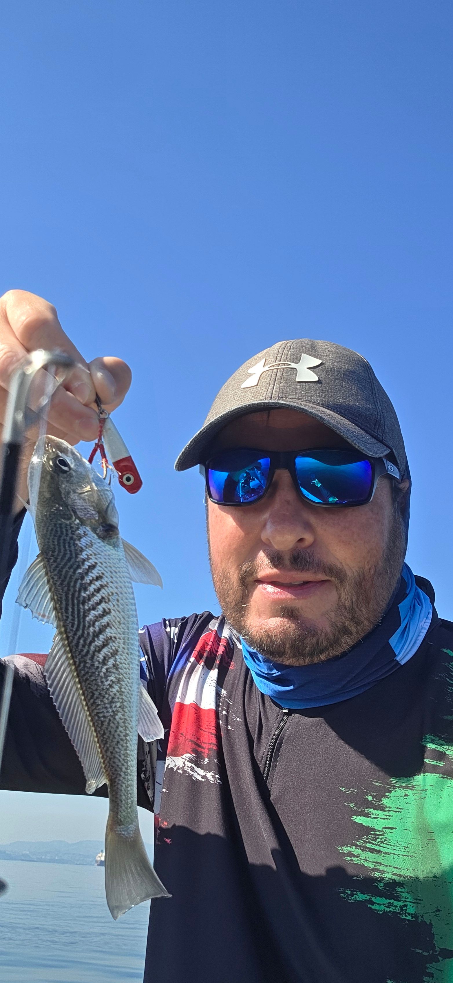 Atlantic Croaker