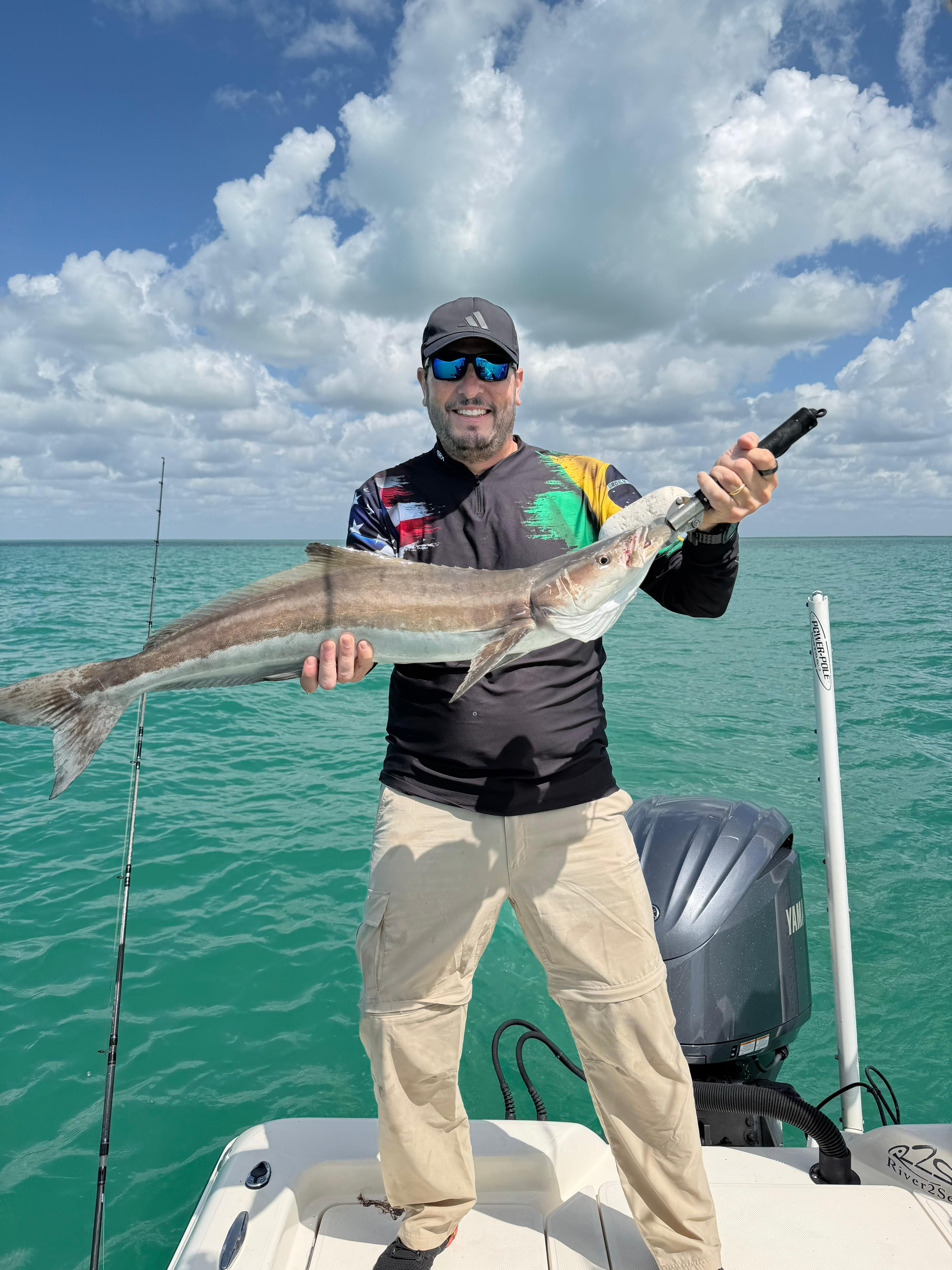 Cobia