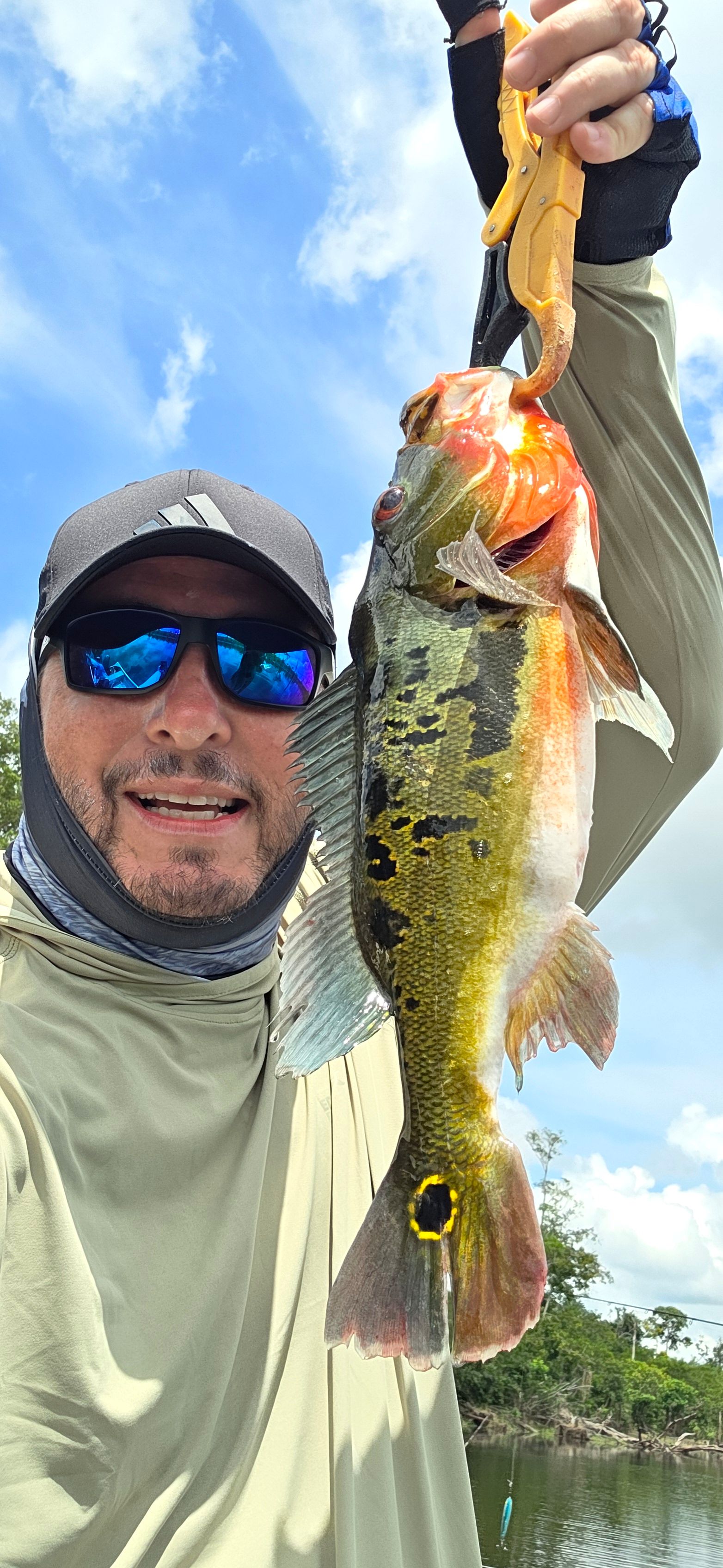 Butterfly Peacock Bass