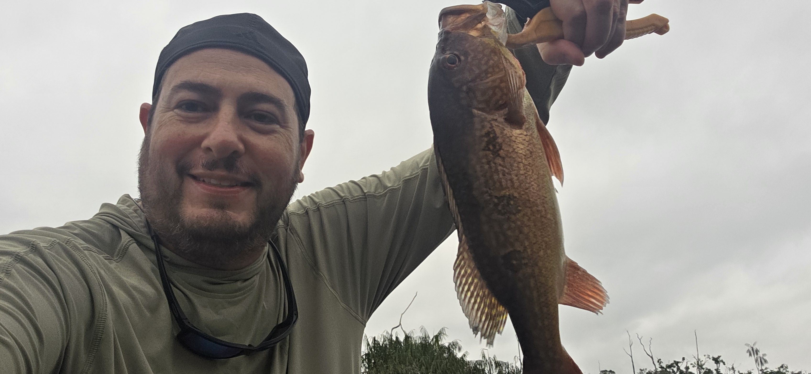 Speckled Peacock Bass
