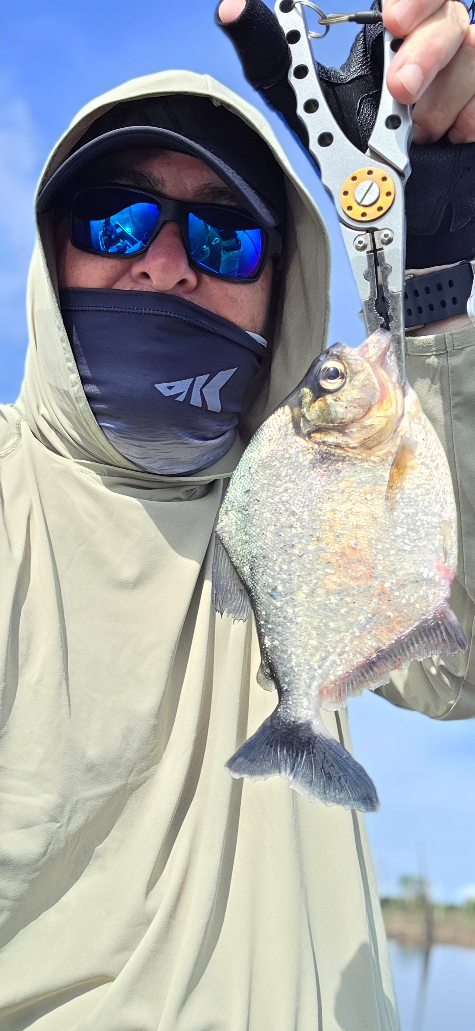 Black Piranha