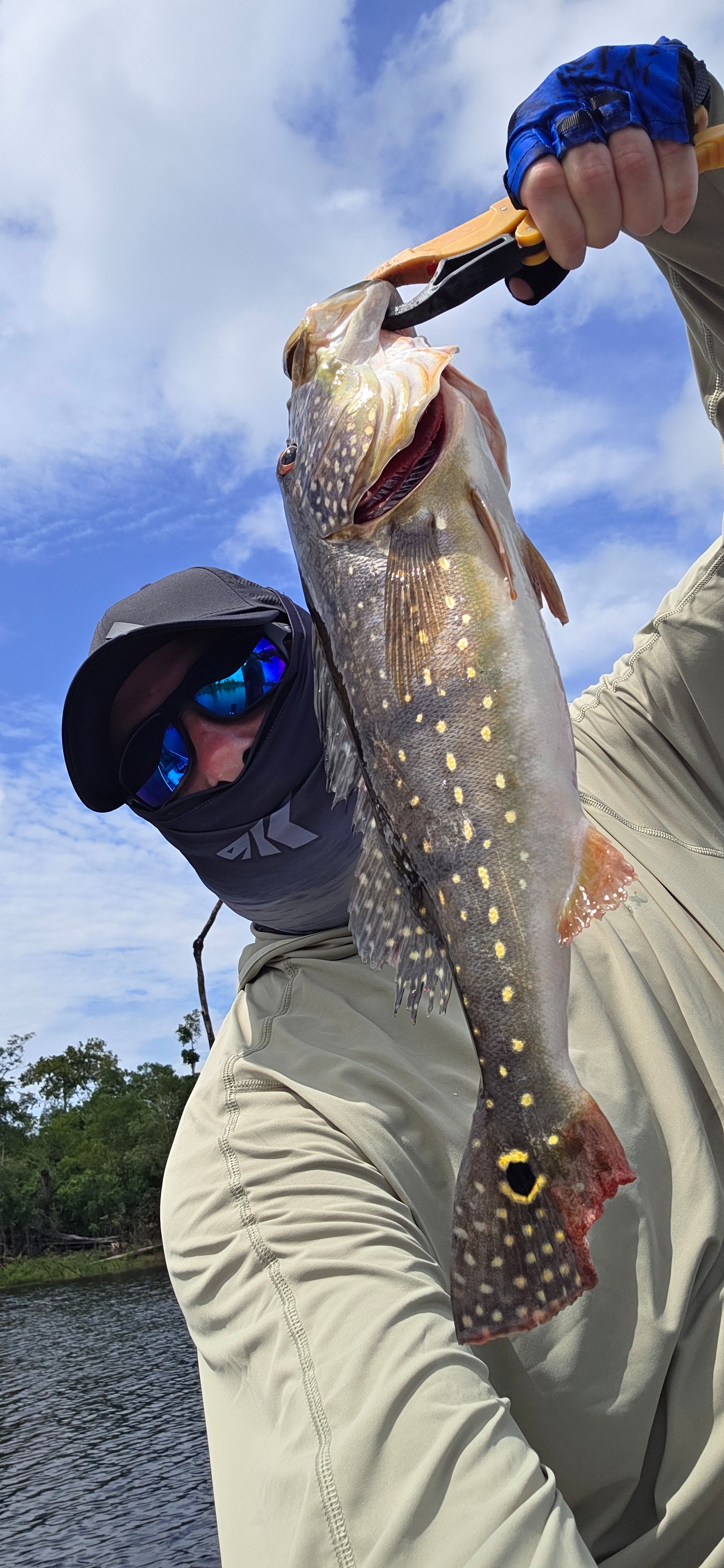 Speckled Peacock Bass