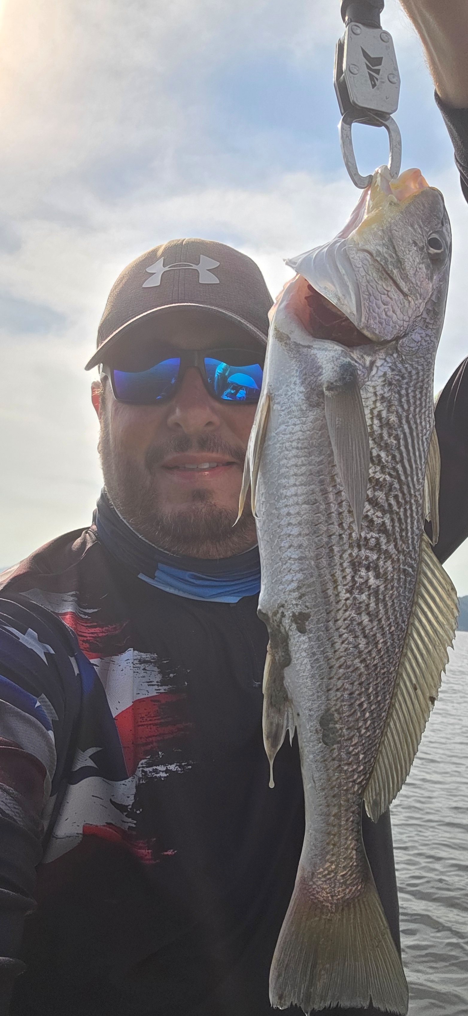 Atlantic Croaker