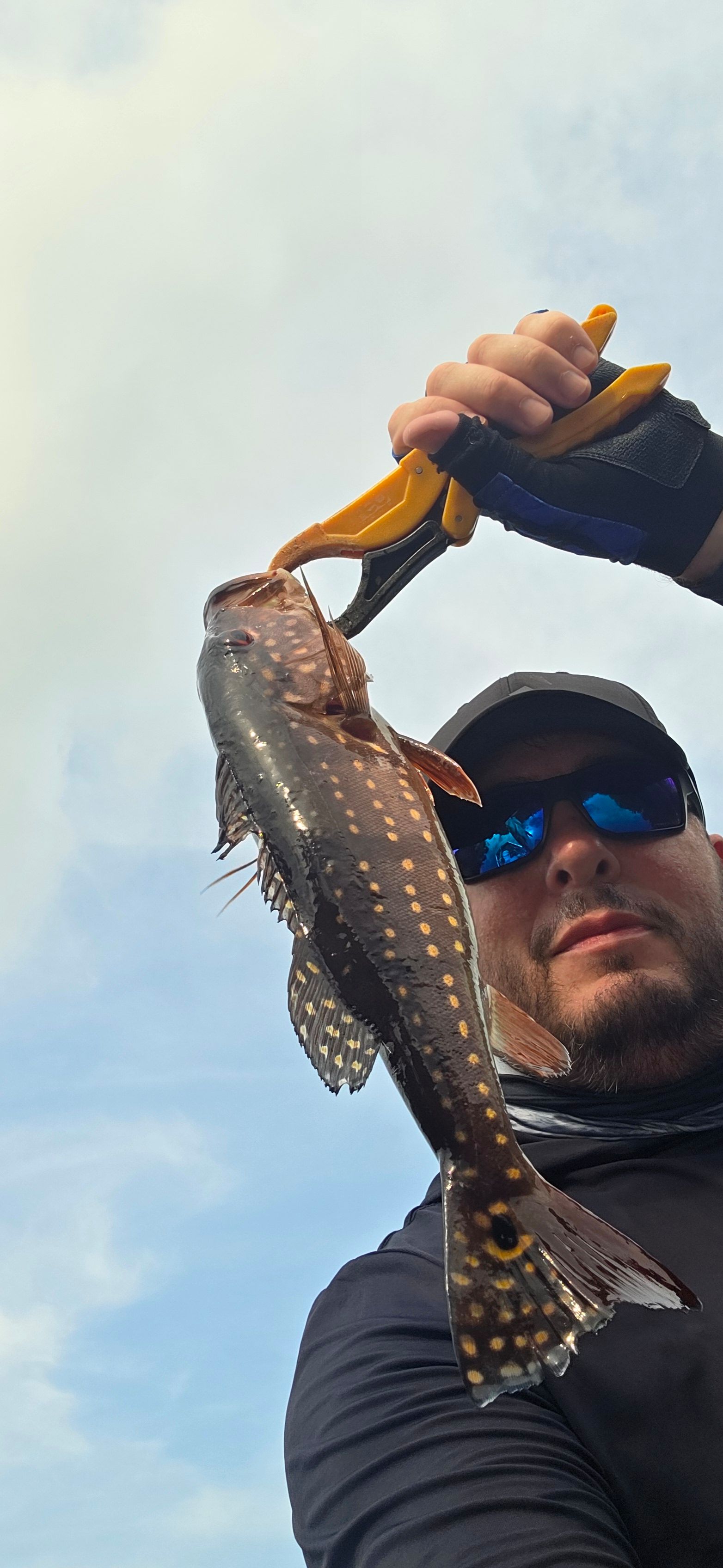 Speckled Peacock Bass