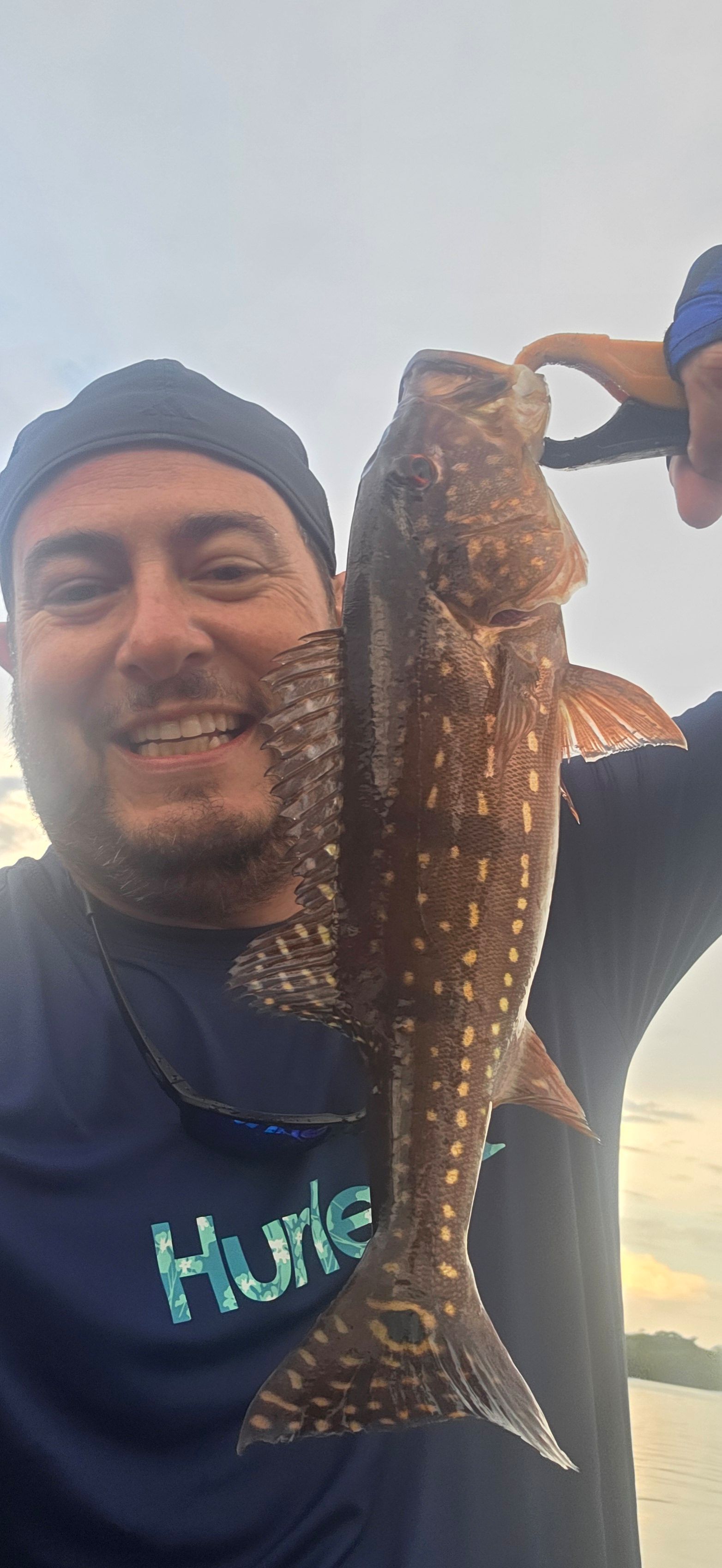 Speckled Peacock Bass