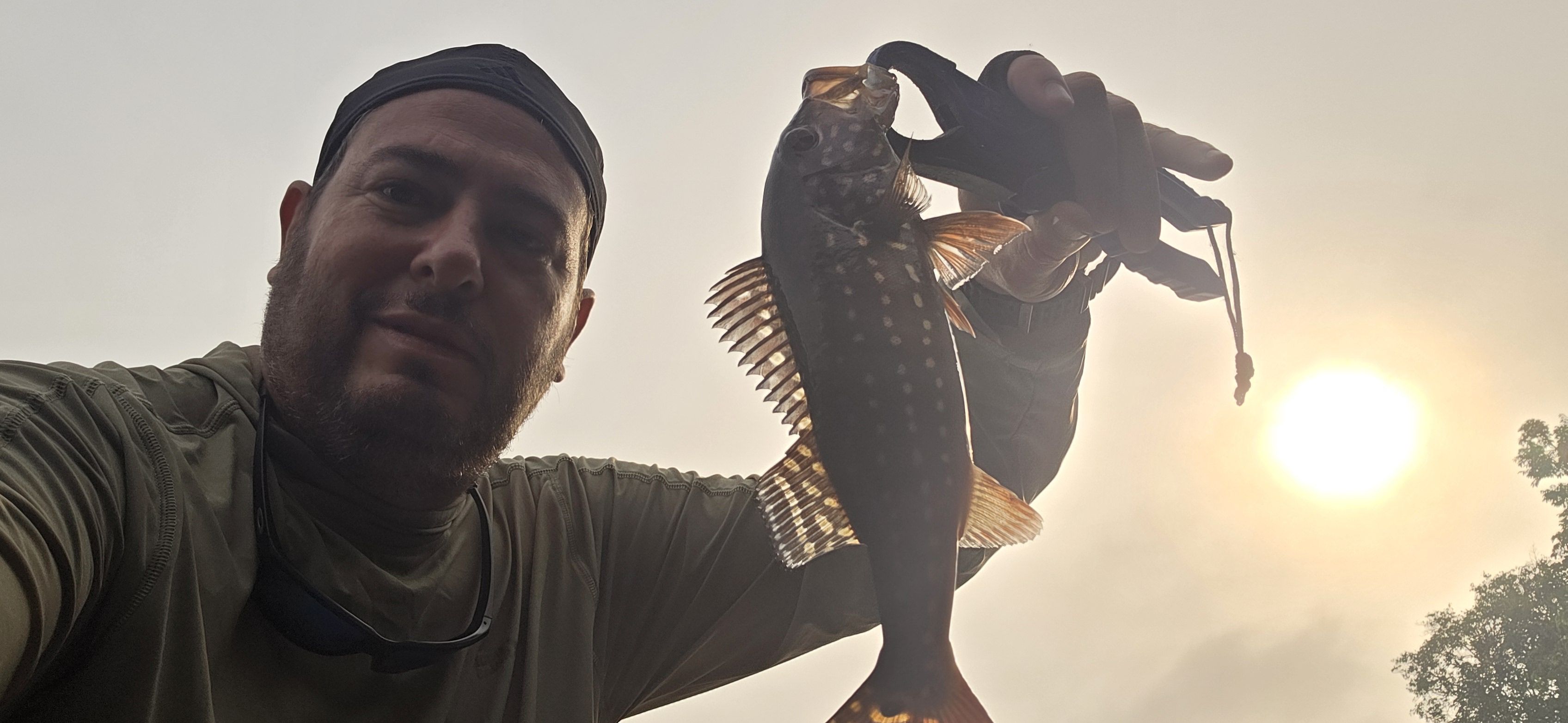 Speckled Peacock Bass