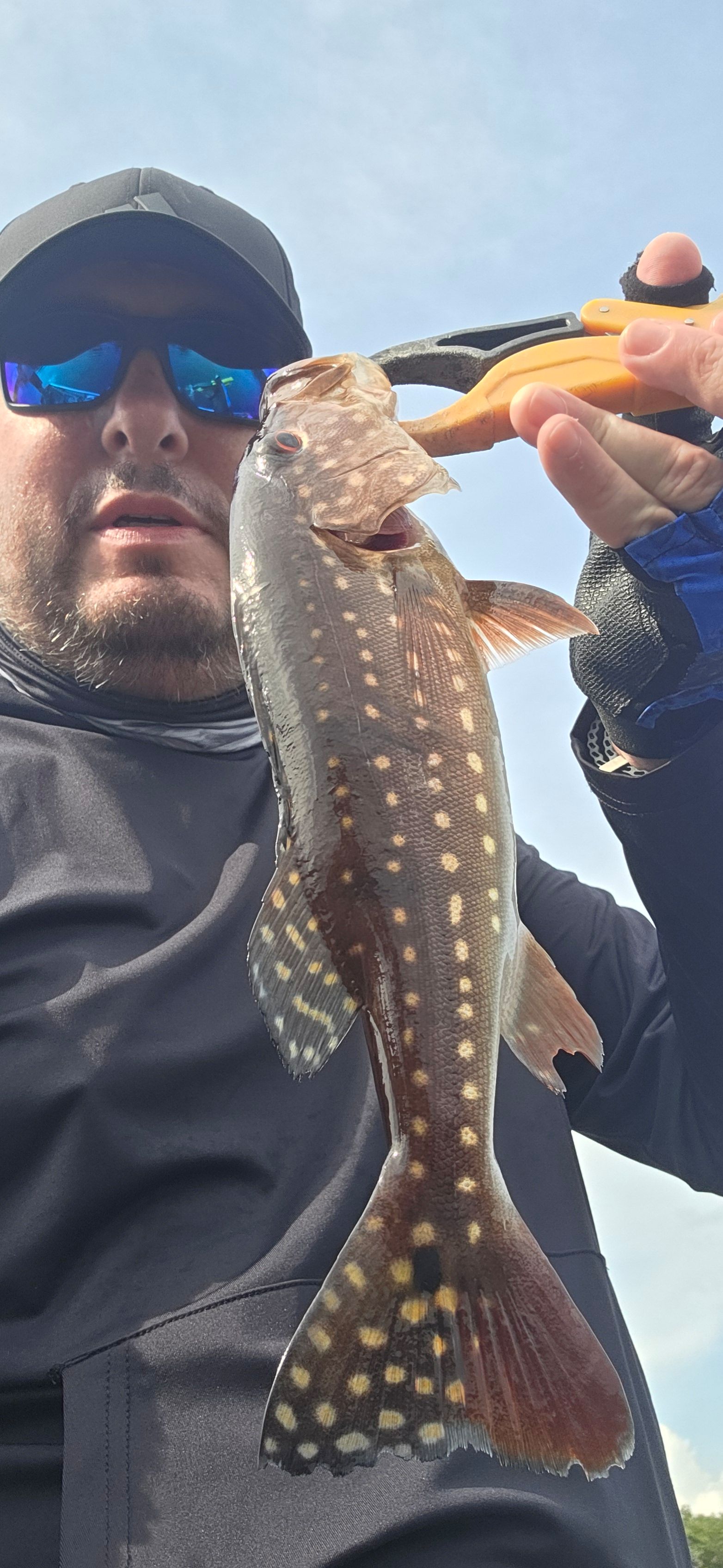 Speckled Peacock Bass