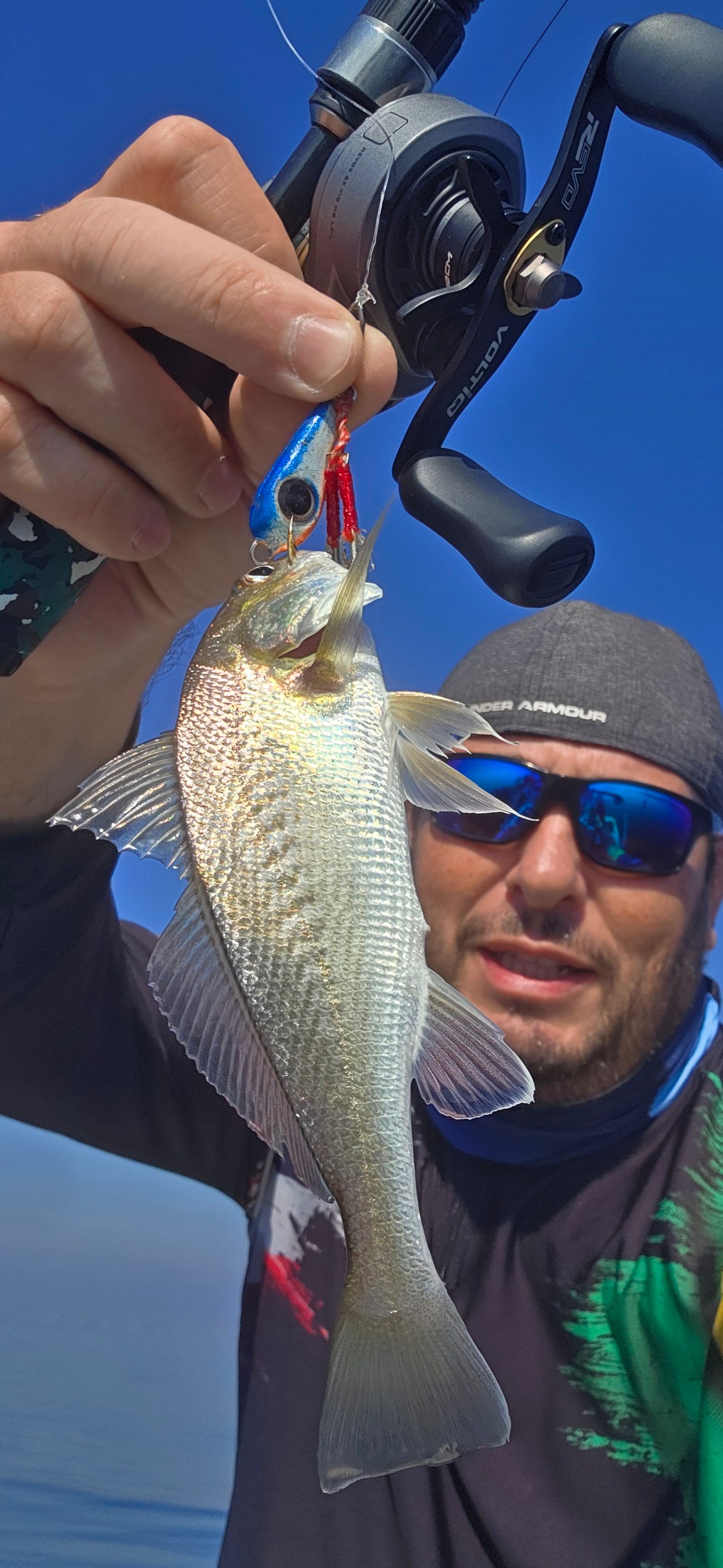 Atlantic Croaker