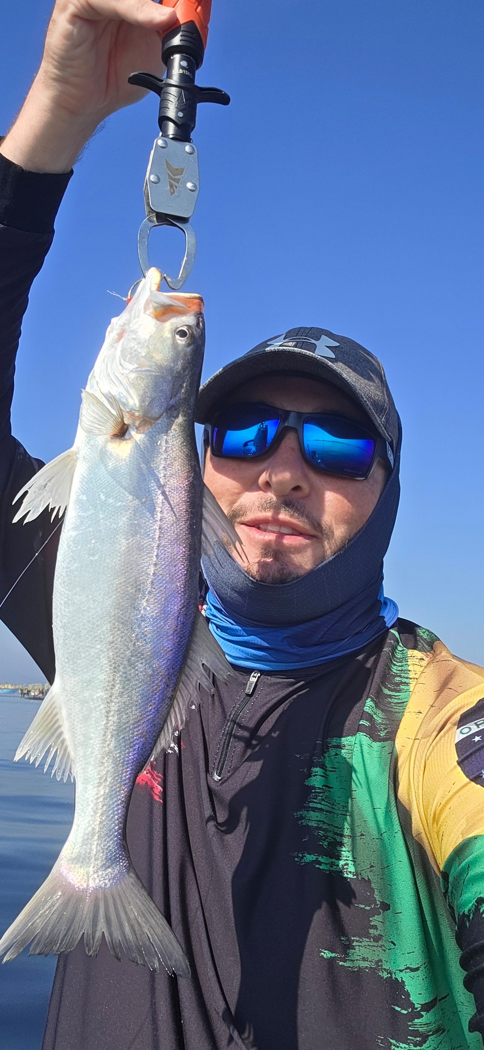 Weakfish