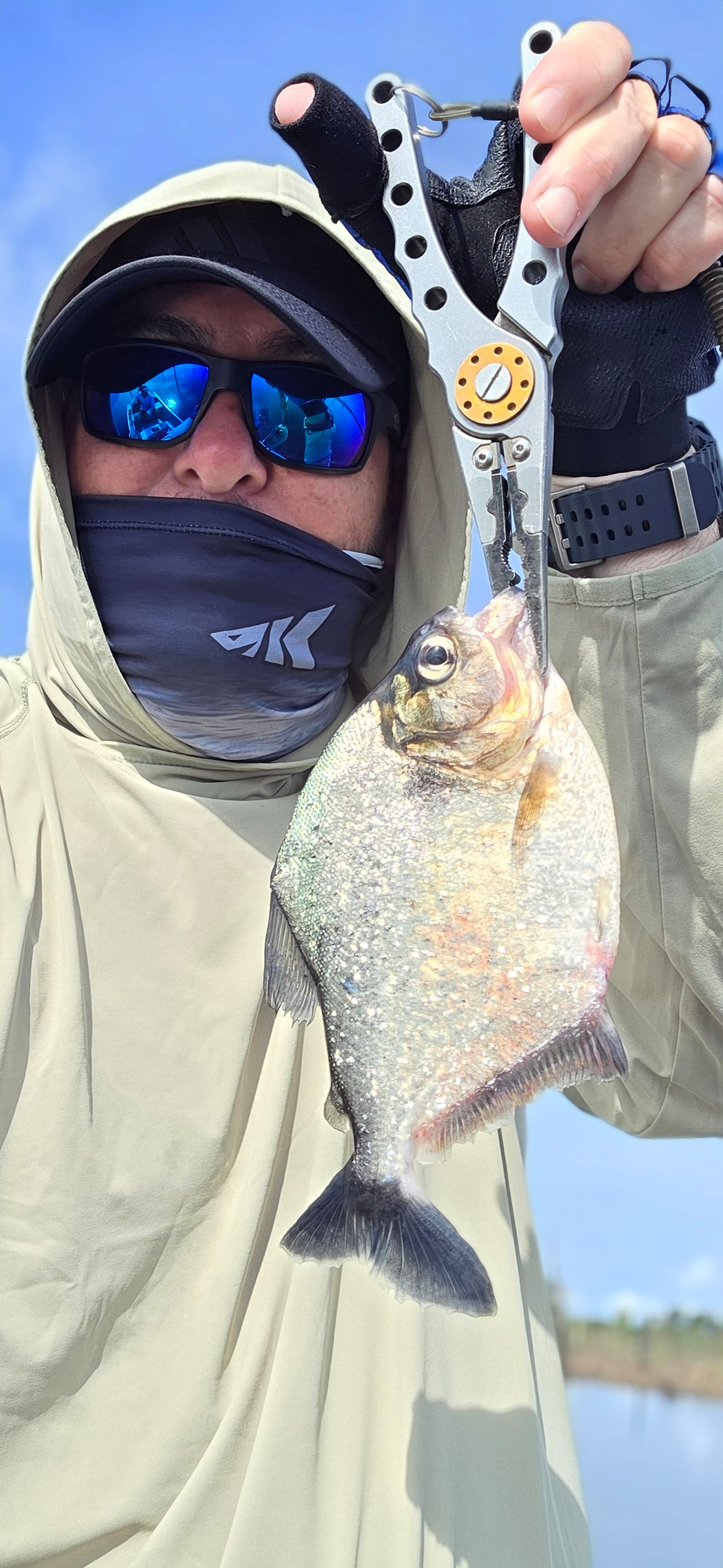 Rio Negro Piranha