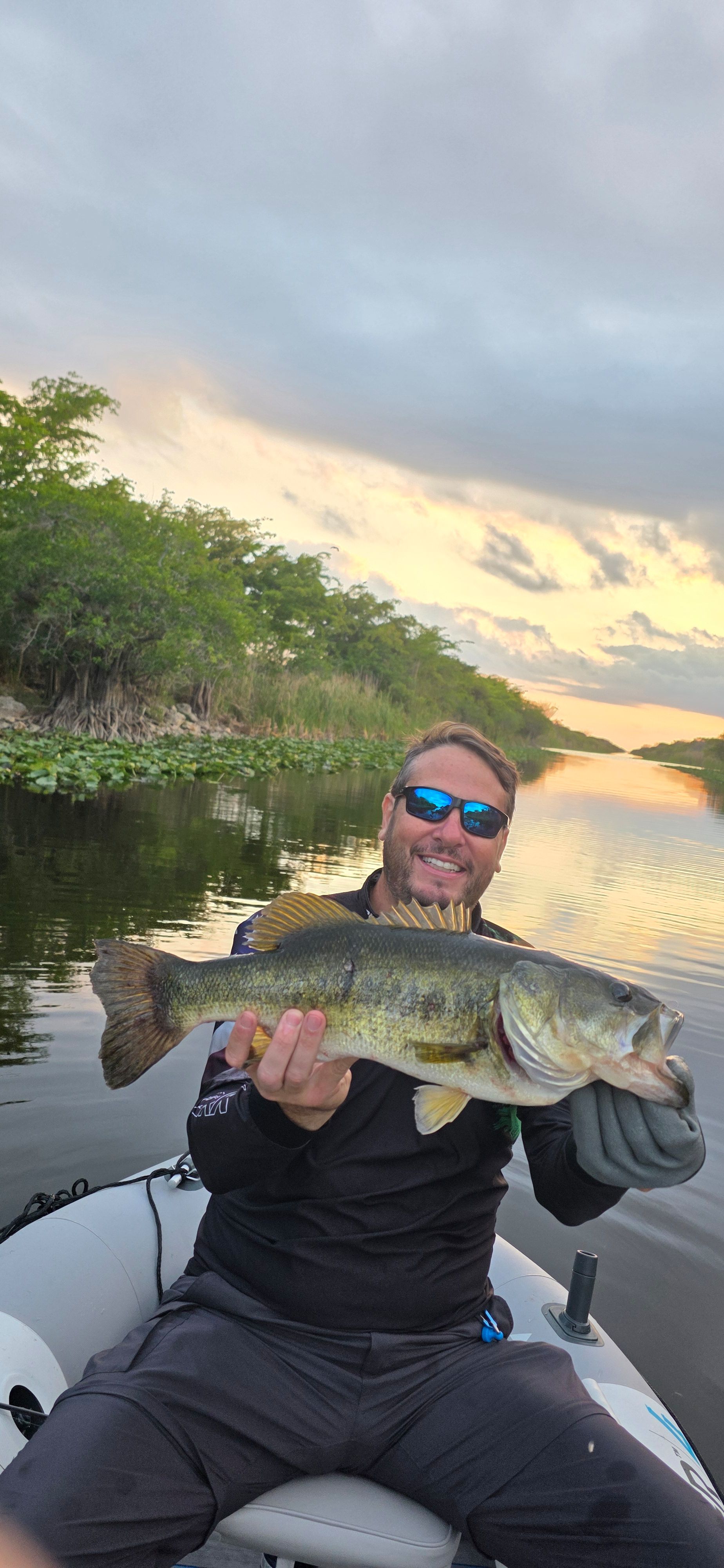 Largemouth Bass