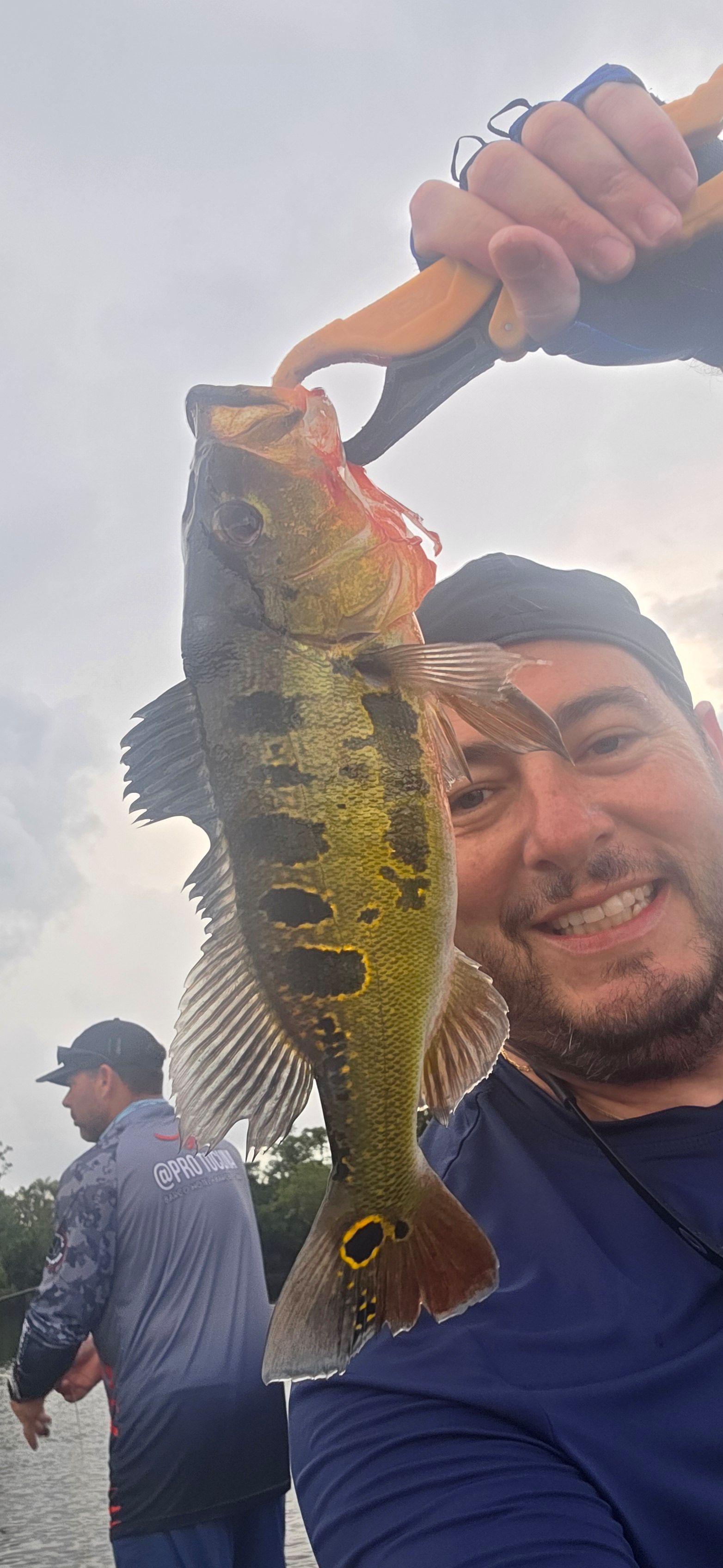 Butterfly Peacock Bass