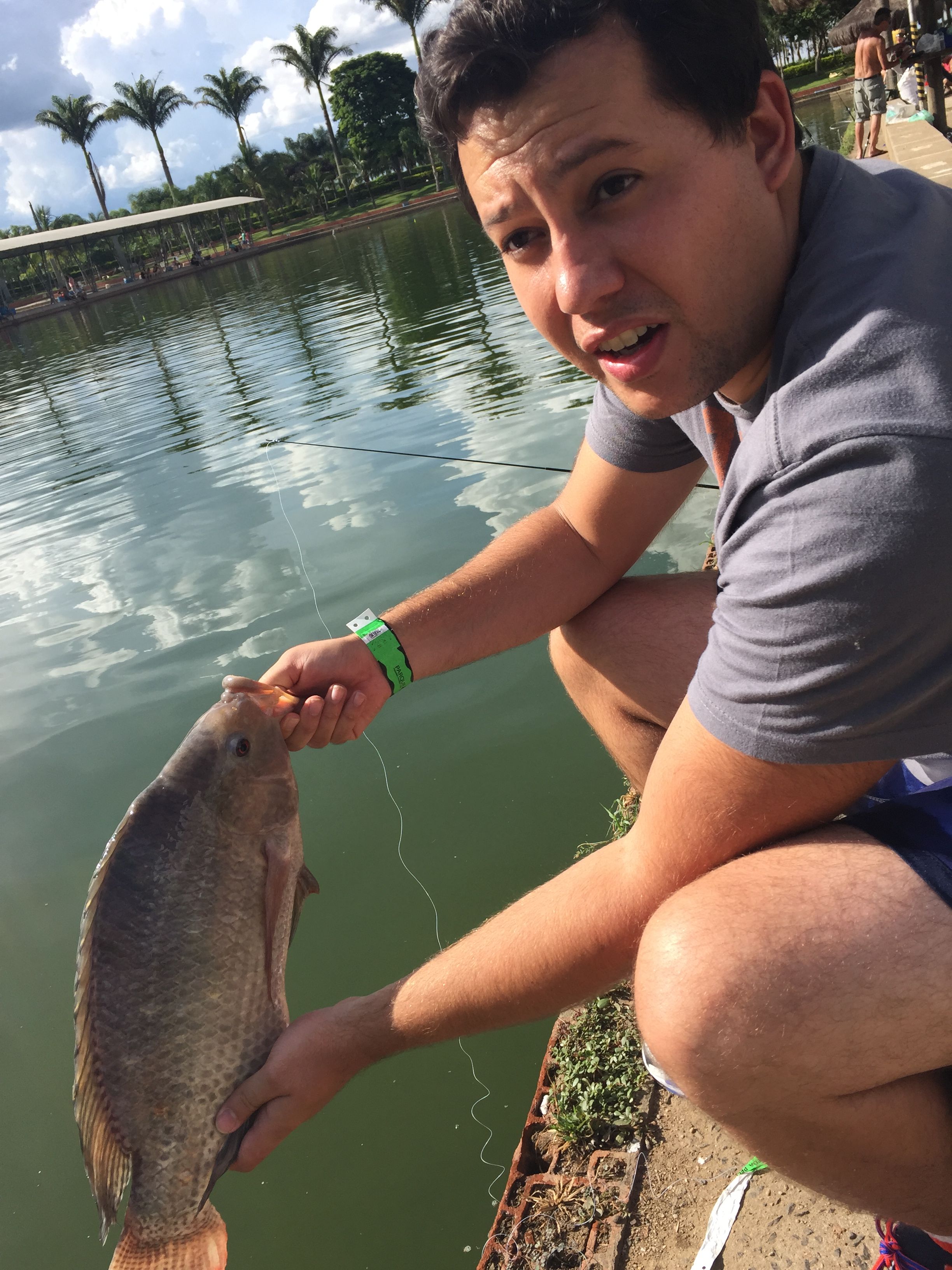 Blue Tilapia