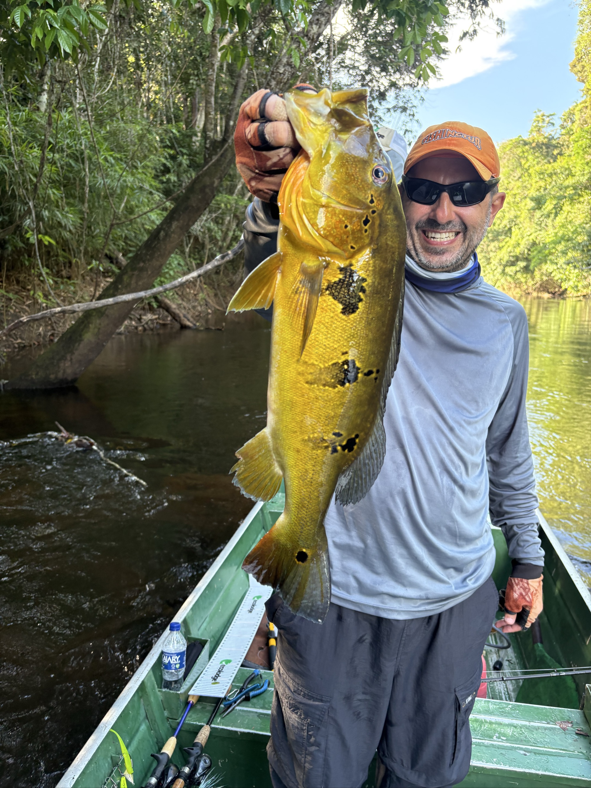 Spotted Peacock Bass