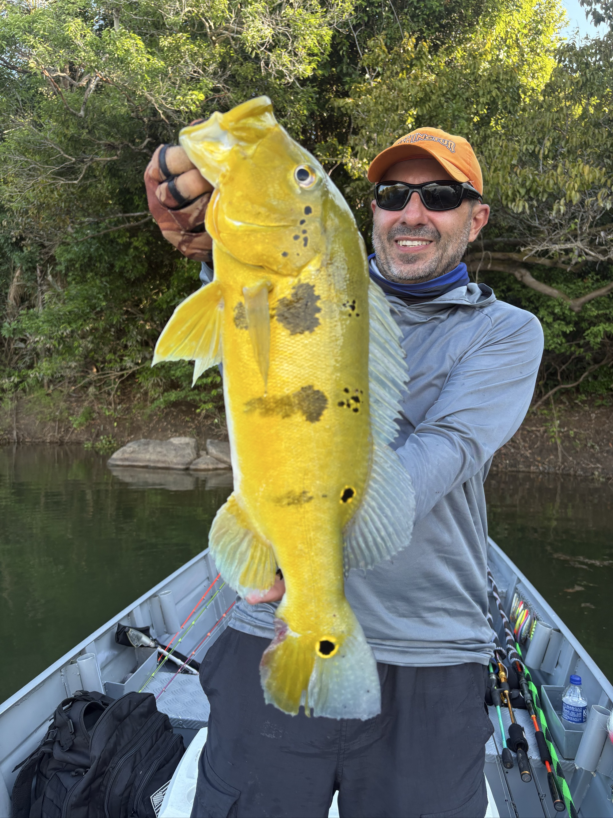 Butterfly Peacock Bass