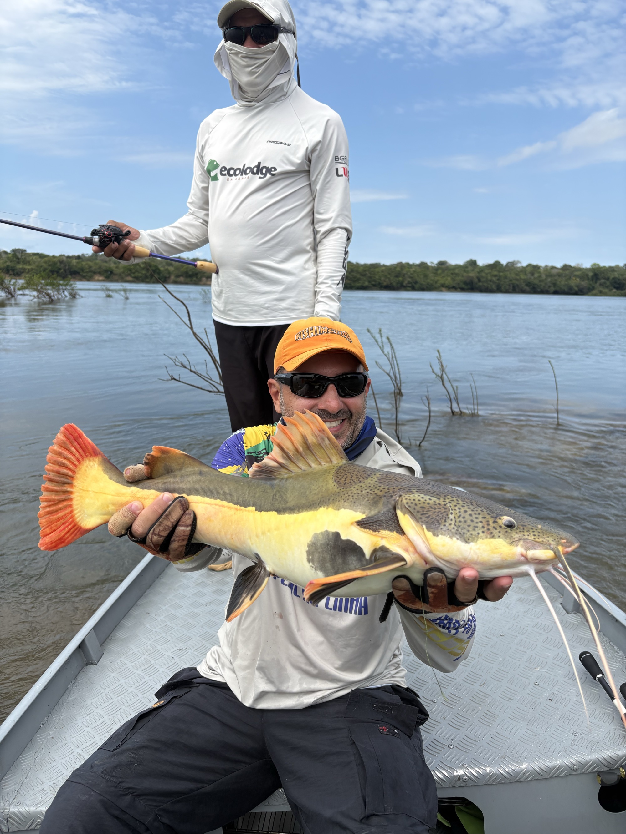 Redtail Catfish
