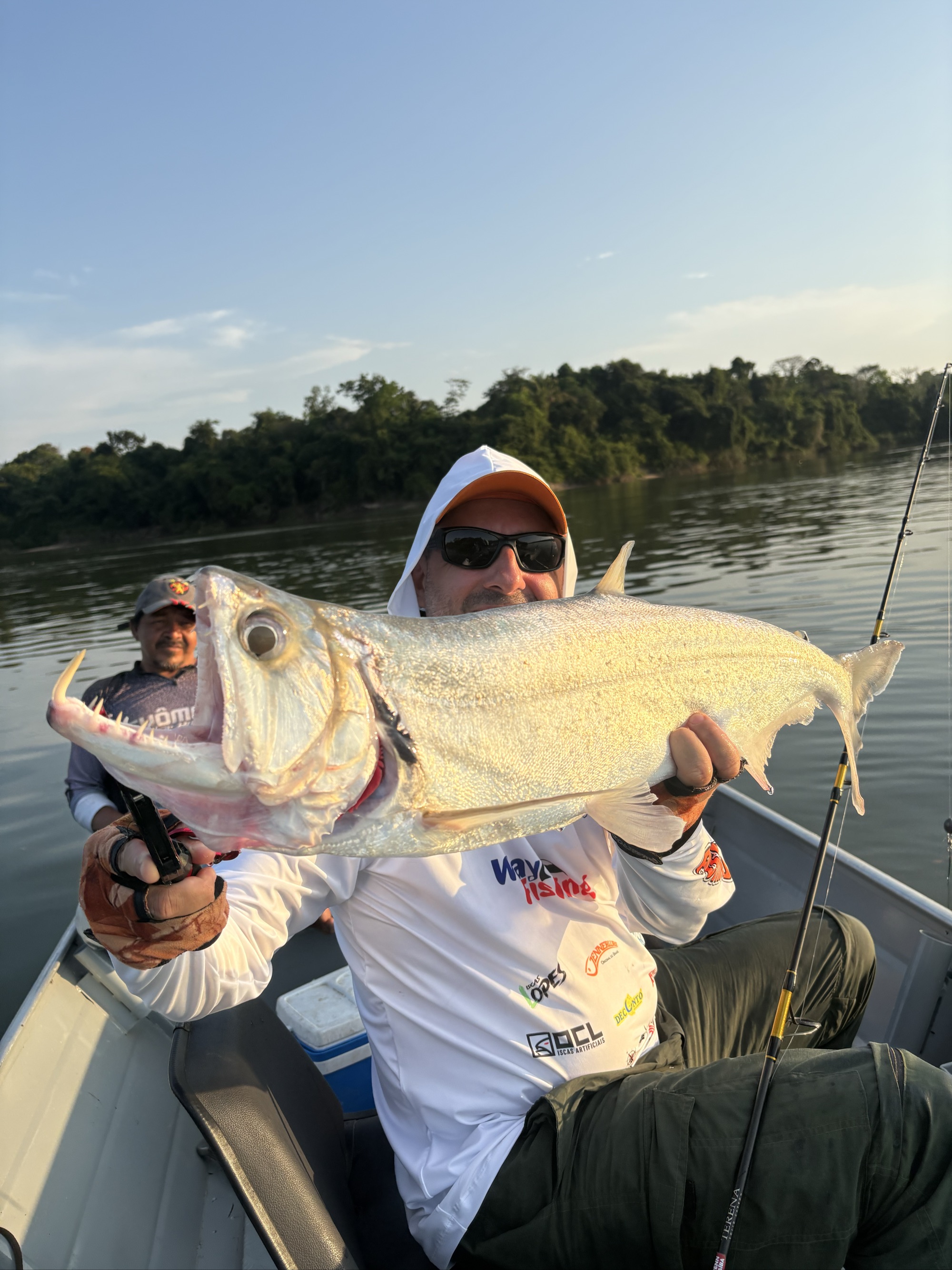 Black Tailed Payara