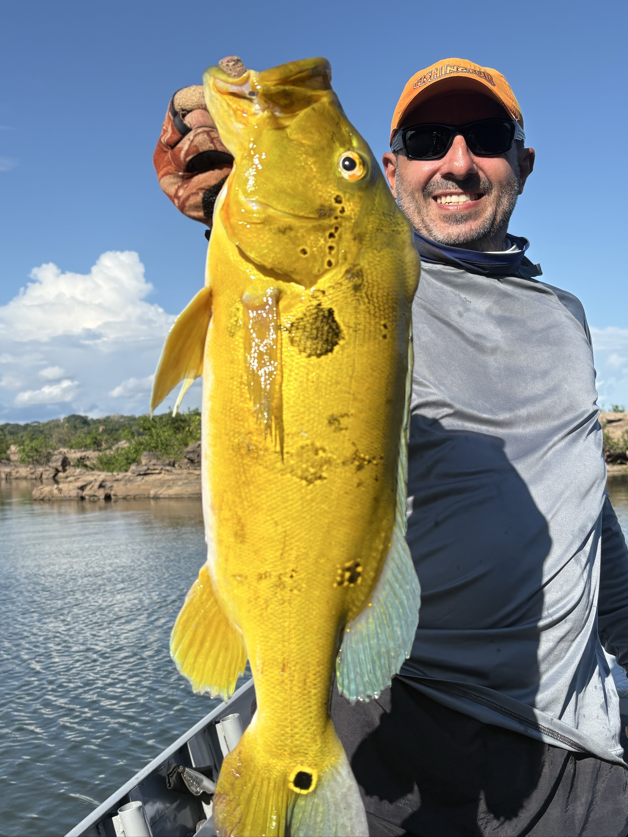 Vazzoler's Peacock Bass