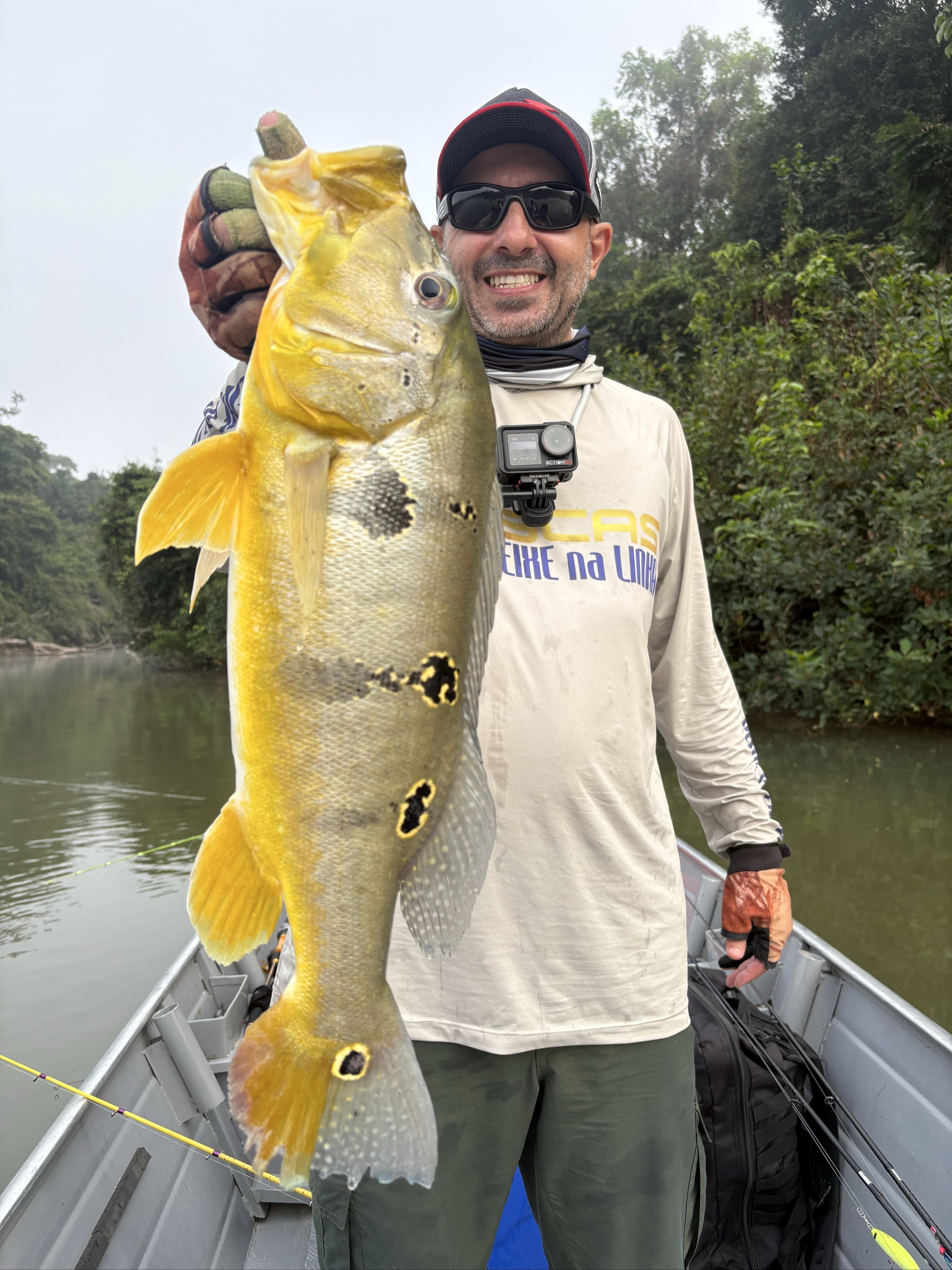 Spotted Peacock Bass