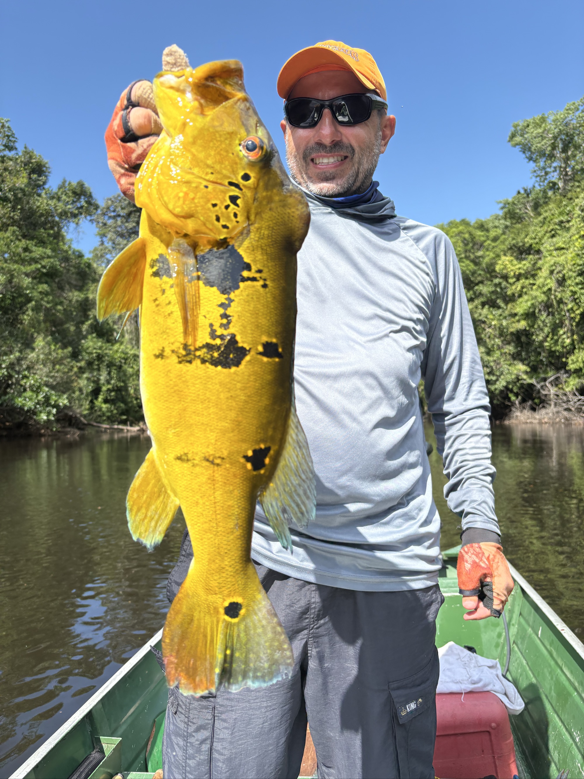 Butterfly Peacock Bass