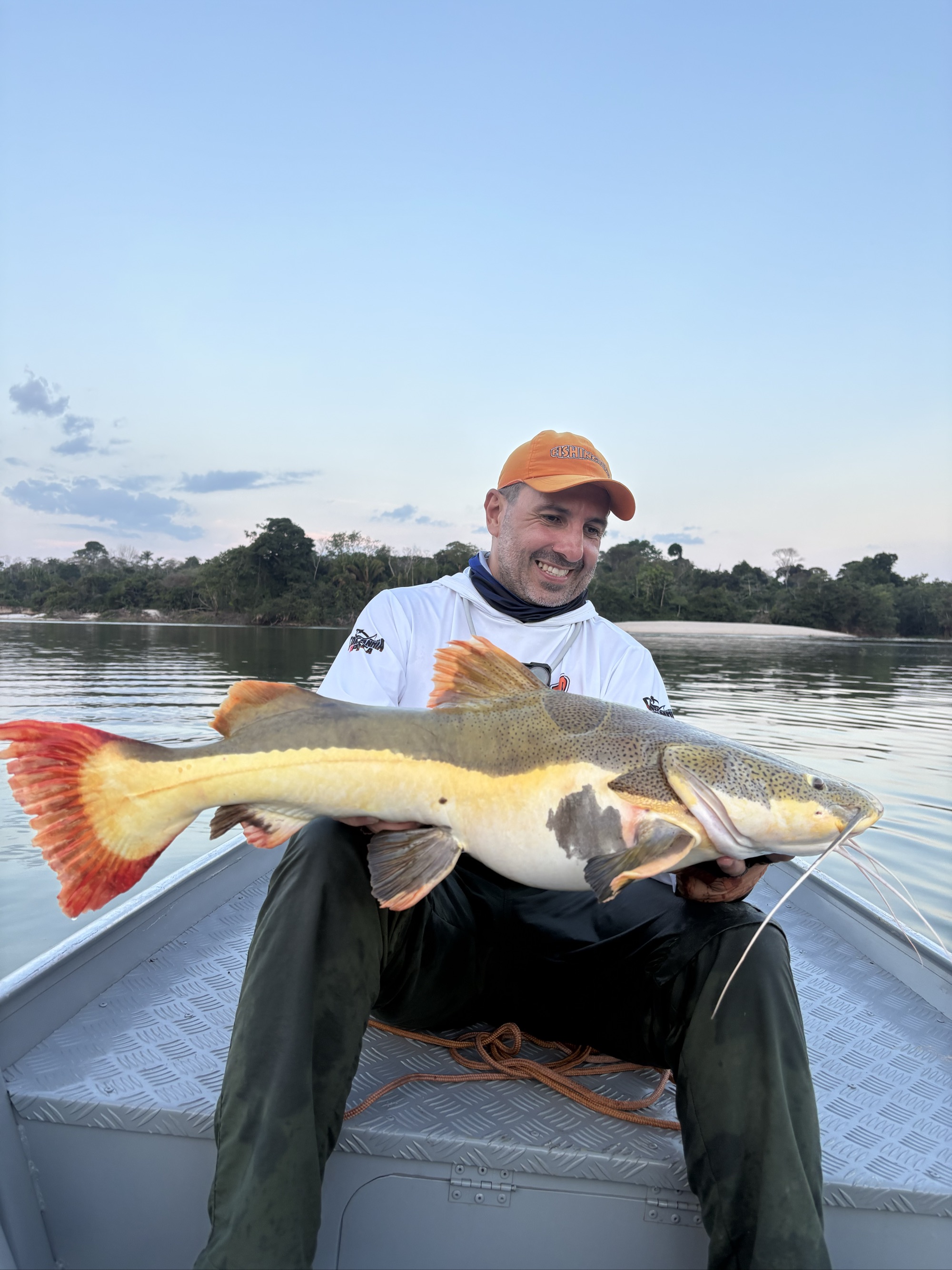 Redtail Catfish