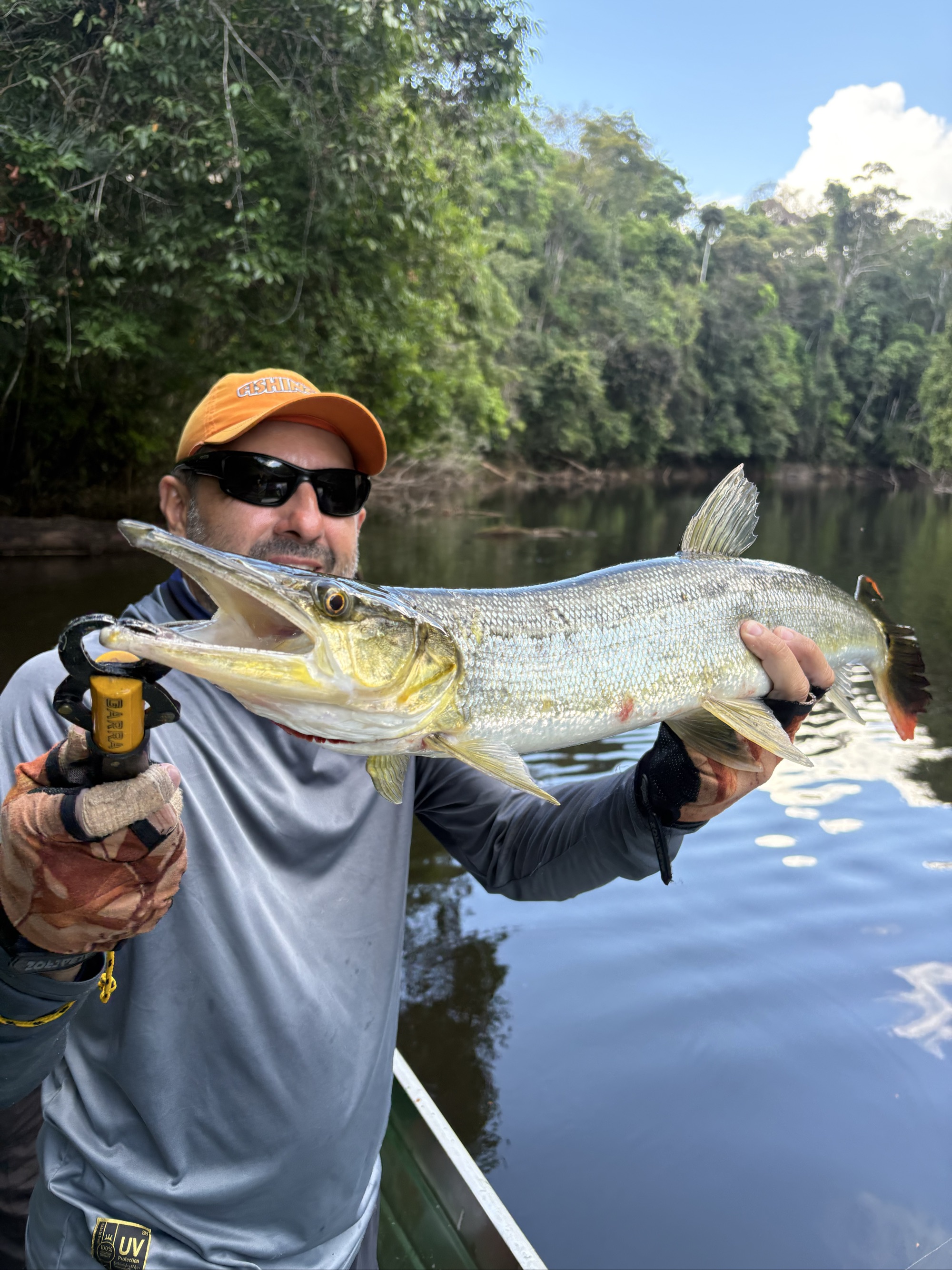 Pike Characin